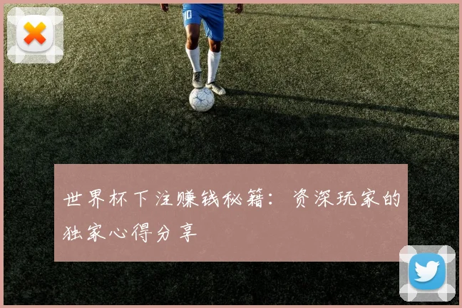 世界杯下注赚钱秘籍：资深玩家的独家心得分享